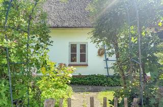 Haus kaufen in 25792 Neuenkirchen, Landpartie