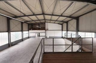 Gewerbeimmobilie mieten in Professor-Maier-Leibnitz-Straße, 78476 Allensbach, Industriehalle / Gewerbehalle / Produktion mit Freifläche in Allensbach