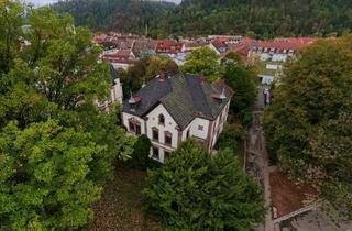 Anlageobjekt in 79650 Schopfheim, Denkmalgeschütztes Wohn- und Geschäftshaus mit Entwicklungsmöglichkeiten in Schopfheim