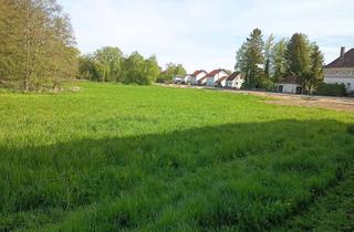 Grundstück zu kaufen in Mühlweg, 86697 Oberhausen, Bauplatz in unverbauter Lange in Sinning bei Neuburg a.d.D.
