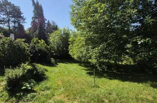 Grundstück zu kaufen in Eichgrundweg, 01796 Pirna, Baugrundstück in schönster Lage