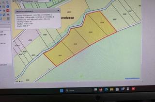 Immobilie kaufen in Schwegenheim Fl.nr 3534,3531,3532,3, 67365 Schwegenheim, Wiese, koppeln, heu,. land