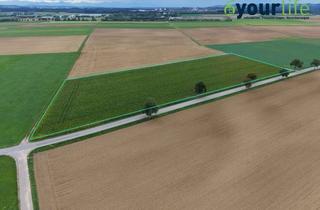 Gewerbeimmobilie kaufen in 87668 Rieden, Ackerfläche mit ca. 2,59 ha in der Gemarkung Rieden