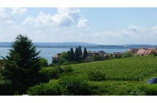 Wohnung mieten in Sonnhalde 28, 88709 Meersburg, Möbliertes 1-Zimmer Apartment mit Panoramablick auf See und Alpen. Mit Balkon.