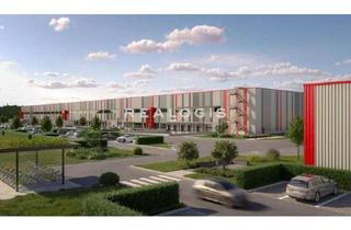 Gewerbeimmobilie mieten in 68649 Groß-Rohrheim, Bis zu ca. 28.000 qm Logistikflächen zu vermieten!