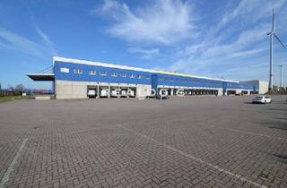 Gewerbeimmobilie mieten in 35394 Gießen, Bis zu ca. 10.000 qm Lager- / Logistikflächen zu vermieten!
