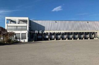 Gewerbeimmobilie mieten in 63755 Alzenau, Bis zu ca 10.000 qm Lager- / Logistikflächen zu vermieten!