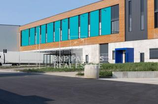 Gewerbeimmobilie mieten in Steinacher Straße 15, 91593 Burgbernheim, 24/7 +WGK III: 65.000 m² Produktions- und Logistikfläche, 5 min auf die A7