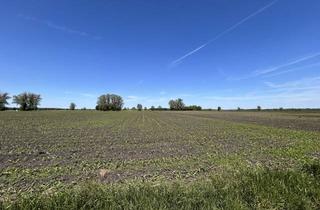 Immobilie kaufen in 86405 Meitingen, div. landw. Acker/Wiesenflächen im Raum Meitingen gegen Gebot