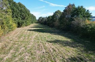 Immobilie kaufen in 92706 Luhe-Wildenau, Land- und forstwirtschaftliche Fläche in Unterwildenau – ca. 8.380 m² mit guter Zuwegung