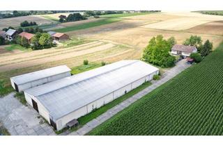 Lager kaufen in 84163 Marklkofen, Anwesen mit Wohnhaus, Lagerhallen und Landwirtschaftsfläche nähe Marklkofen