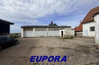 Bauernhaus kaufen in Burgstraße 16, 67294 Stetten, EUPORA® Immobilien: Ehemaliger Bauernhof mit großen Nebegebäuden in Stetten.