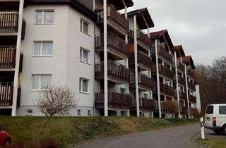 Wohnung kaufen in 04779 Wermsdorf, Wermsdorf - Sonnige 1-Raum-Wohnung in Wermsdorf in Schlossnähe