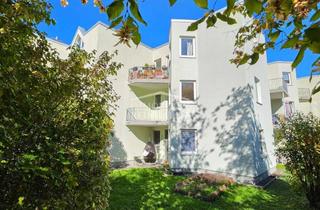 Wohnung kaufen in 96450 Cortendorf, Herrlich lichtdurchflutetes 1,5-Zimmer-Appartement mit Balkon & Stellplatz im begehrten Cortendorf