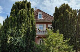 Wohnung mieten in 55543 Bad Kreuznach, Sofort freie, renovierte und helle Wohnung mit Balkon in sehr beliebter Stadtlage; inkl. Stellplatz