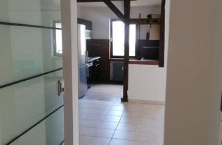 Lofts mieten in Nibelungenring 22, 64689 Grasellenbach, Schöne, helle, vollständig renovierte 2,5-Raum-Loft-Wohnung mit 2 Balkonen und Einbauküche