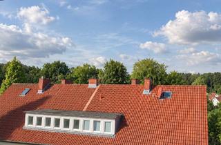 Wohnung mieten in Hindenburgstraße 20, 49124 Georgsmarienhütte, Gepflegte helle Singelwohnung in zentraler Lage zu sofort!