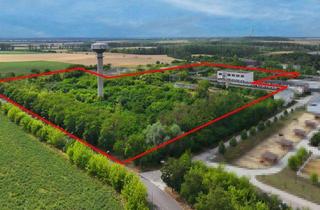 Grundstück zu kaufen in 39218 Schönebeck, Provisionsfreies Industrie- und Gewerbeareal in Schönebeck | ca. 41.442 m²