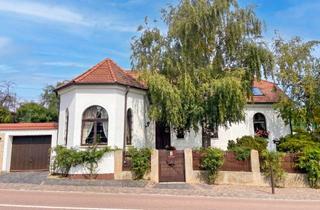 Einfamilienhaus kaufen in 06317 Seeburg, Einfamilienhaus mit historischem Charme und Weinberg-Blick
