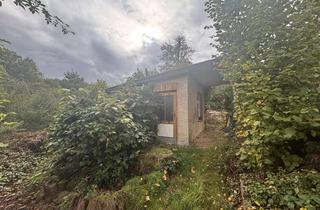 Grundstück zu kaufen in 01665 Käbschütztal, Gartenland sucht grünen Daumen – und jemanden, der sich vom ersten Blick nicht abschrecken lässt