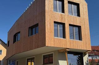 Wohnung mieten in 73271 Holzmaden, Neubau-Wohnungen mit Aufzug in ökologischer Bauweise in Holzmaden