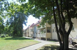 Wohnung mieten in Goethestr., 04425 Taucha, schöne,helle 1 ZiDGwhg.,Parkett,Terrasse,PKW-Stpl.,großer Hausgarten in ruhiger grüner Lage