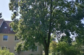 Wohnung mieten in Wittinger Straße 65 B, 29223 Celle, Erdgeschosswohnung in der Nähe der Dammaschwiese