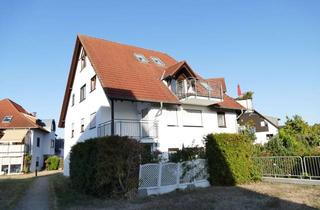 Wohnung mieten in 03054 Döbbrick, Super Wohnung mit großer Terrasse in idyll. Lage im Stadtteil Döbbrick zu vermieten!