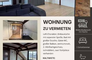 Lofts mieten in Kaufbeurer Straße 18, 87719 Mindelheim, Wohnen mit Charakter – charmante Loftwohnung in Mindelheim