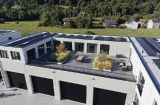 Büro zu mieten in 84543 Winhöring, Produktion, Technik mit Büro: Neubau-Hallenfläche teilbar, ebenerdig, A94 in 2 Minuten