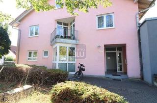 Wohnung kaufen in 76356 Weingarten, hell, großzügig, ebenerdig: Wgh. mit flexibl. Grundriss + ELW