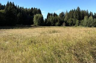Immobilie kaufen in 95703 Plößberg, Große Waldfläche bei Plößberg