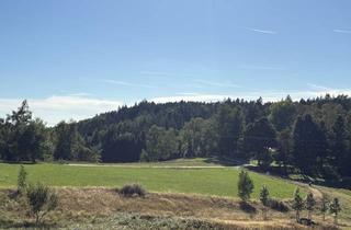 Immobilie kaufen in 95703 Plößberg, Ackerland bei Plößberg mit guter Zufahrt