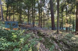 Immobilie kaufen in 91580 Petersaurach, Waldgrundstück in der Gemarkung Großhaslach