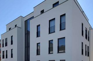 Wohnung mieten in Heinrich-Dauer-Straße, 52351 Düren, hochwertige 3-Zimmer-Wohnung nähe Krankenhaus DN