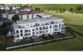 Wohnung mieten in Waldalgesheimer Straße 112, 55545 Bad Kreuznach, Neuwertige 2-Zimmer-Wohnung mit Balkon am Feldrand und Tiefgarage (B2.8)