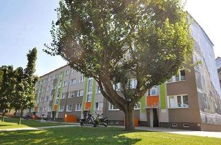 Wohnung mieten in Dr.-Wilhelm-Külz-Straße 11, 17291 Prenzlau, Neue Wohnung gesucht?