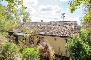 Haus kaufen in Gartenstraße 16, 79739 Schwörstadt, Zweifamilienhaus mit Blick auf den Rhein in Schwörstadt