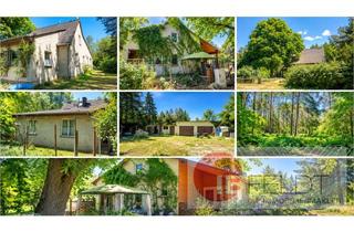 Einfamilienhaus kaufen in 15236 Jacobsdorf, Wohnen mit viel Platz und Natur – Einfamilienhaus auf ca. 12.860 m² Grundstück