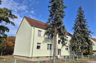 Anlageobjekt in 06779 Schierau, Doppelte Kapitalanlage – 8 Wohnungen, vollvermietet!!!