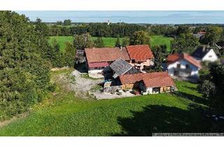Gewerbeimmobilie kaufen in 86929 Penzing, Ehemalige Hofstelle mit viel Entwicklungspotential in Penzing