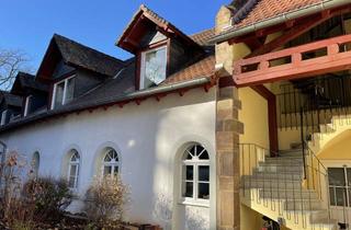 Wohnung mieten in 55232 Alzey, Alzey - große Studiowohnung auf zwei Ebenen - 3 - 4 ZKB