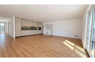 Wohnung mieten in 79761 Waldshut-Tiengen, ERSTBEZUG MIT AUFZUG & DESIGNKÜCHE