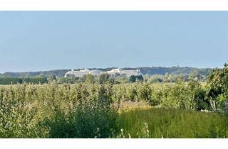 Grundstück zu kaufen in Leeswig 57, 21635 Jork, Jork-Leeswig Baugrundstück mit Panoramasicht auf Schiffe und Obstbäume