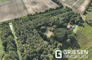Immobilie kaufen in 49733 Haren, Ihr eigenes grünes Paradies: Ca. 27.470 m² junger Laubwald in Haren (Landegge) - Keine zusätzliche Käuferprovision!
