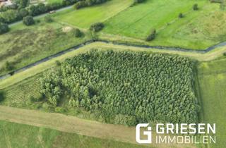 Immobilie kaufen in 49733 Haren, Junger Laubwald in Haren (Ems) – Naturgrundstück als grüne Investition! *Provisionsfrei für den Käufer!