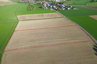 Immobilie kaufen in 88456 Ingoldingen, Ackerflächen bei Ingoldingen - Wattenweiler