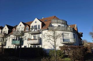 Wohnung mieten in Gartenstraße 11, 15345 Altlandsberg, Kompakte 1-Zimmer-Wohnung in Eggersdorf