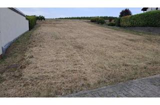 Grundstück zu kaufen in 55576 Welgesheim, Traumhafte Feldrandlage! 550 m² Bauplatz in Welgesheim - voll erschlossen, Verkauf gegen Gebot