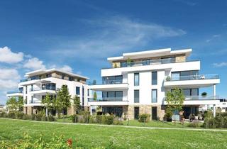 Wohnung mieten in Rieslingstraße 22, 67454 Haßloch, Erstbezug! Lichtdurchflutete, hochwertige 3-Zimmer-Neubauwohnung mit Balkon